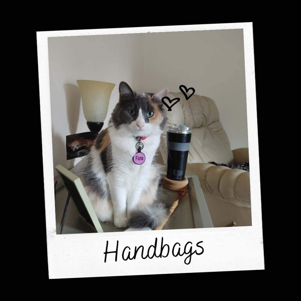 HANDBAGS